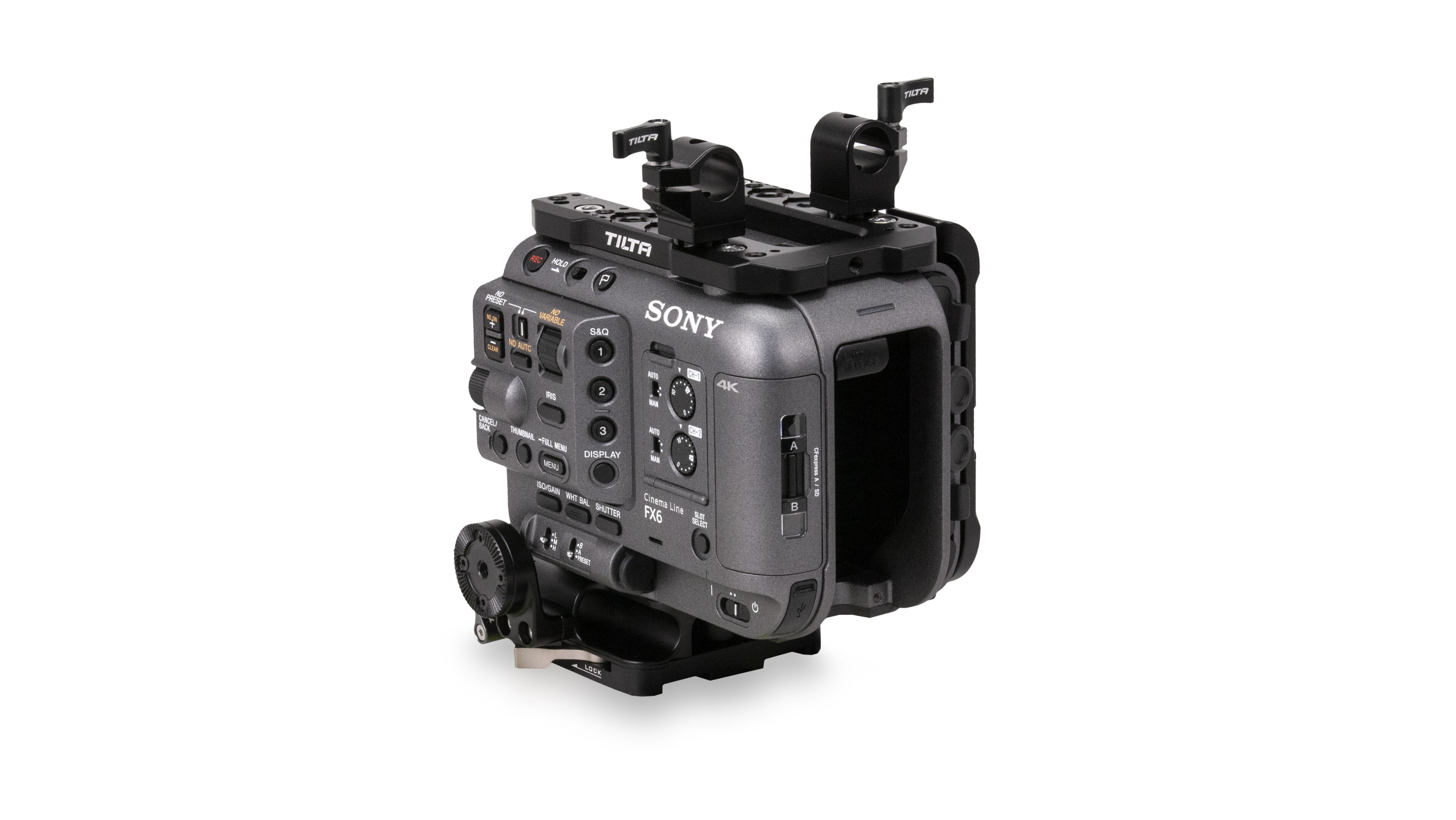ES-T20-Anewback_legacy2-