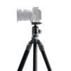 #4-TT-BT05-FB-SG